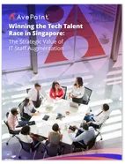 IT Staff Augmentation Website Cover