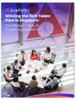 IT Staff Augmentation Website Cover