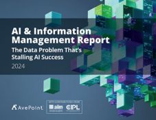 Ai and information management report