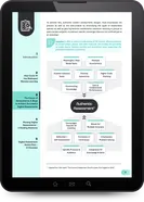 Transform digital assessment e Book 02