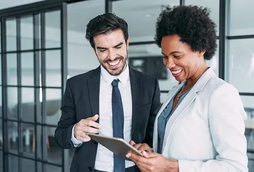 Development services accordion 03