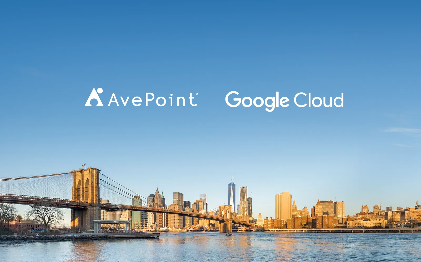 Registration section2